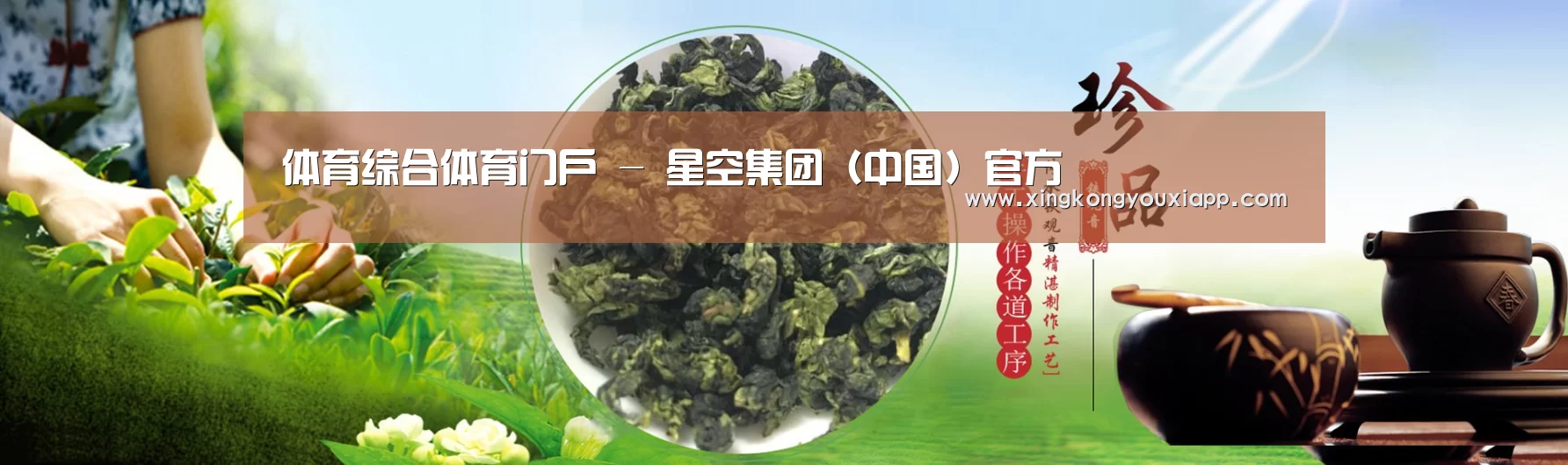 易优Cms-演示站