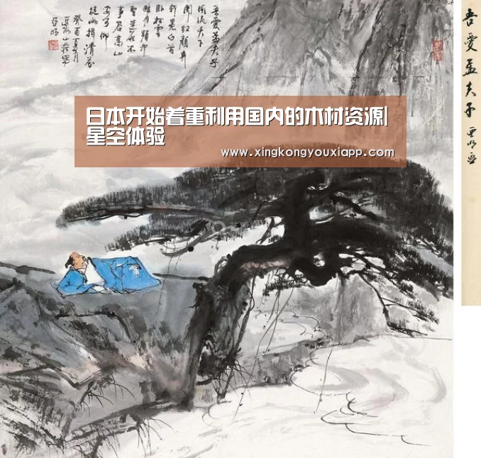 日本开始着重利用国内的木材资源|星空体验